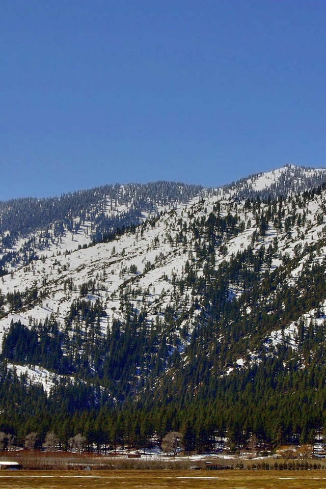 Горные защитники