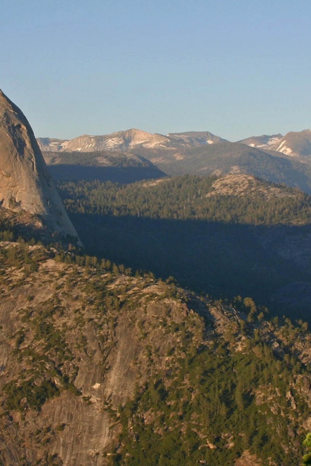 Горы и елка