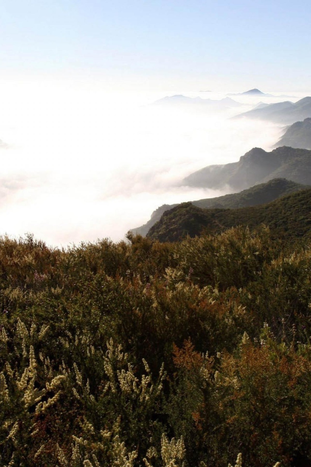 Горы в туманых облаках