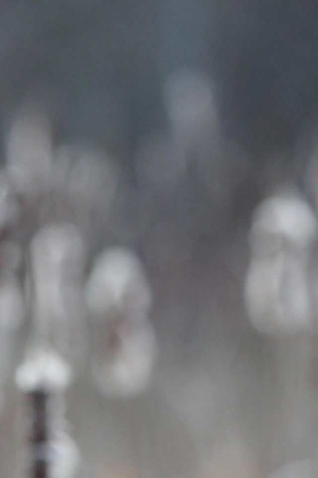 Два колоска