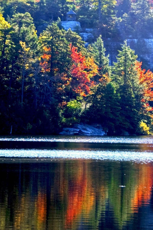 Осенний лес у озера