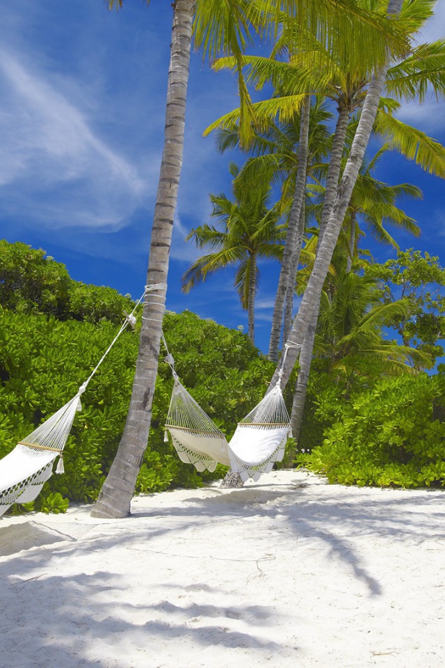 Гамаки подвешены на пальмах