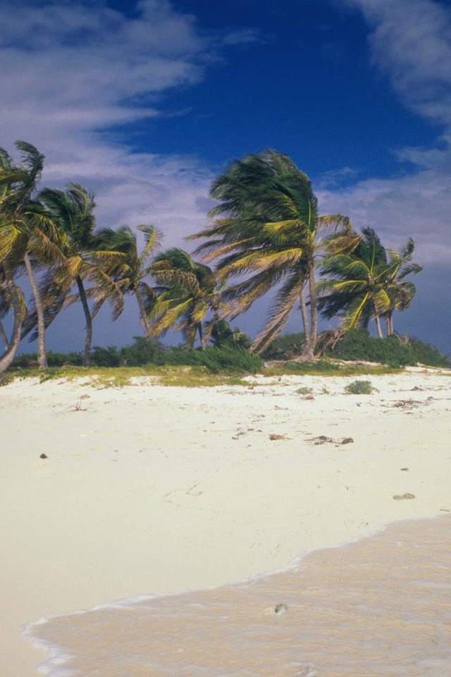 Шторм на пляже