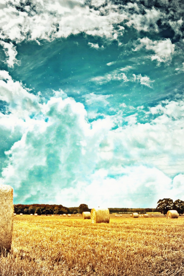 Тучи над полем