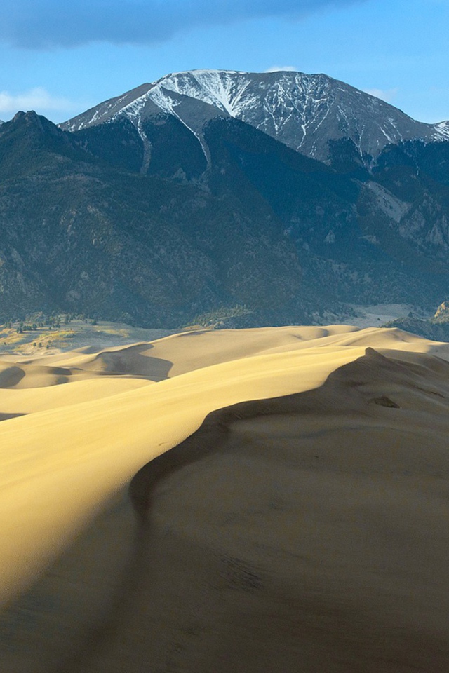 Пустыня у подножия гор