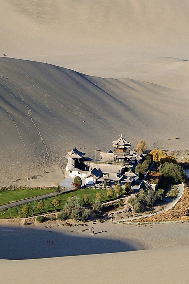 Оазис среди пустыни