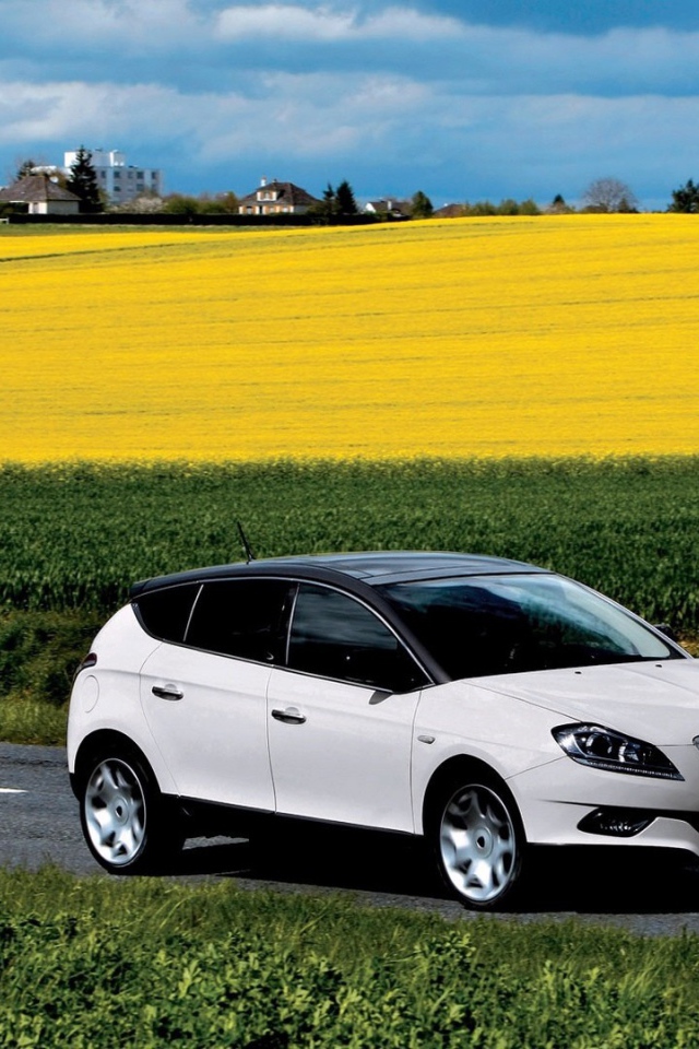 Автомобиль едет среди полей