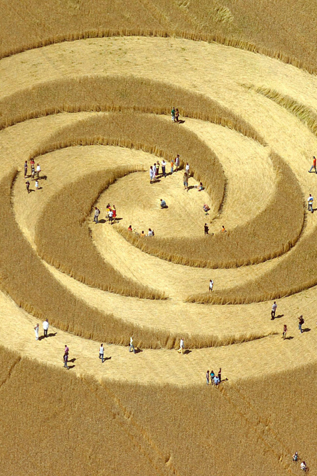 Круг на поле