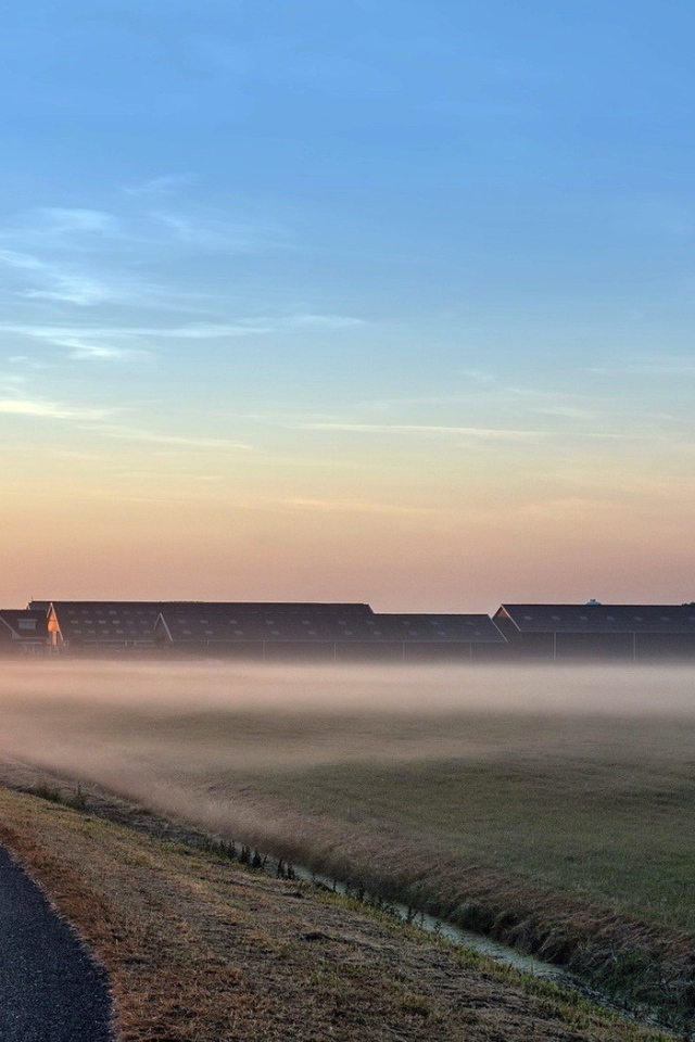 Раннее утро на поле
