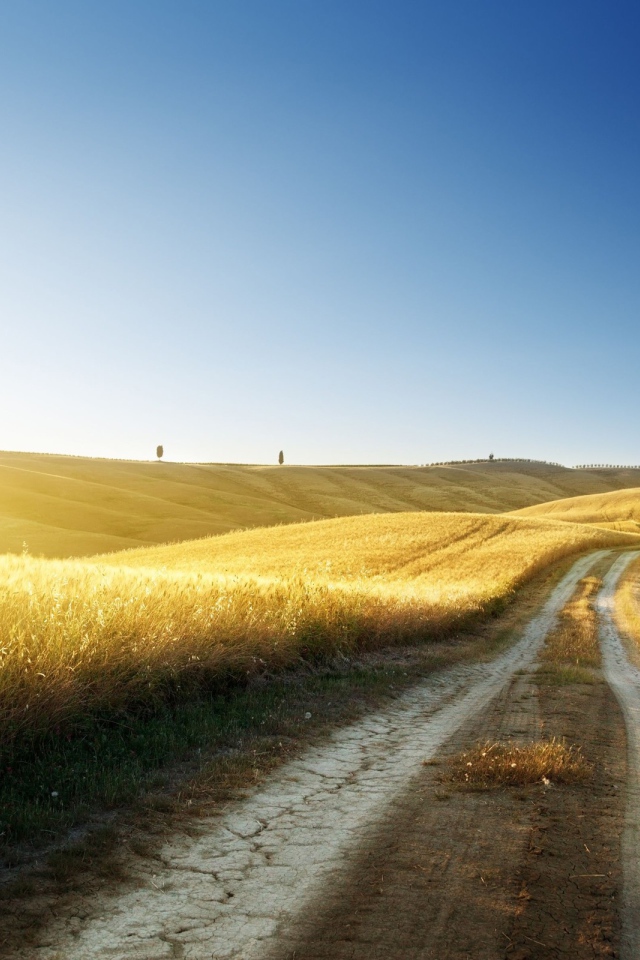 Золотые поля