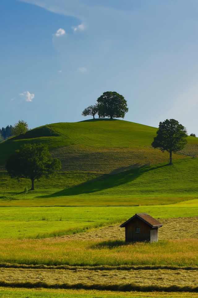 Урожайные поля
