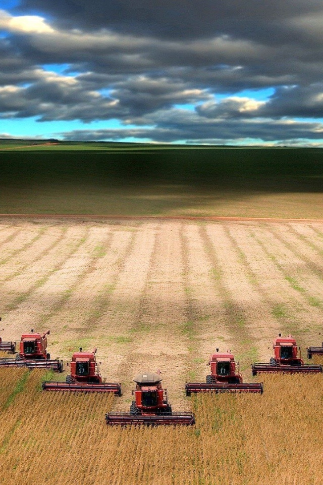 Уборка урожая