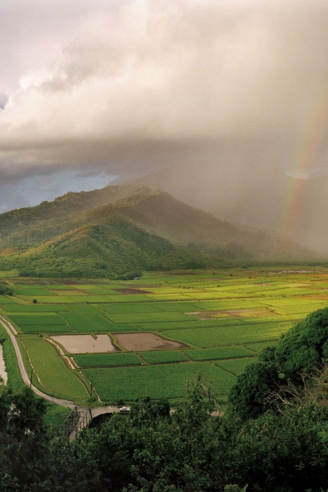 На Гавайях дождь