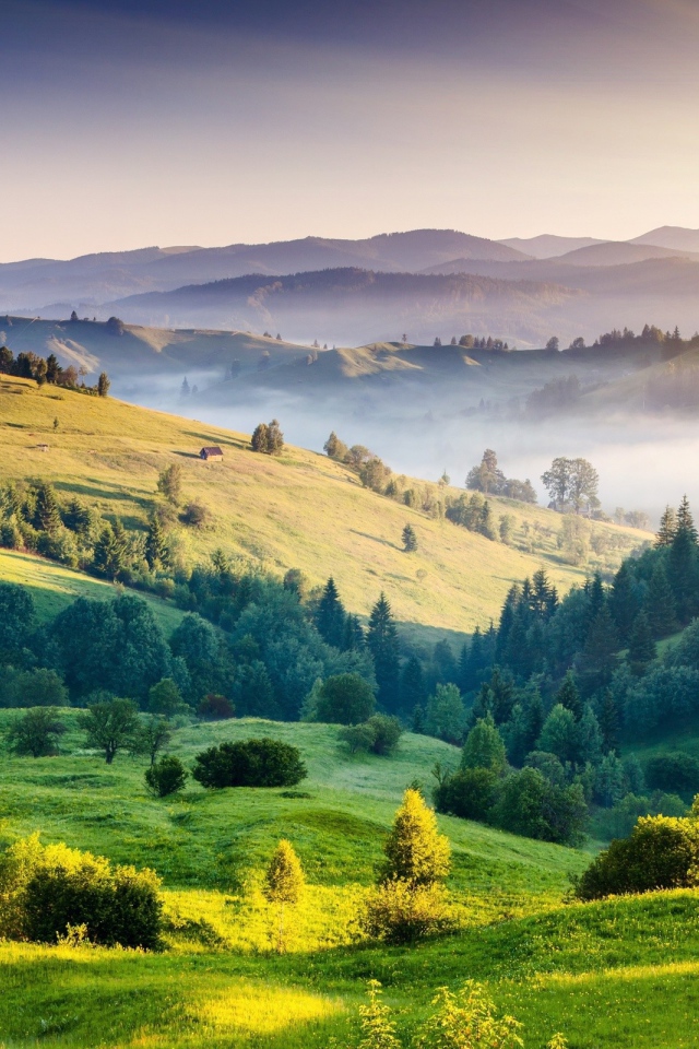 Холмистый пейзаж