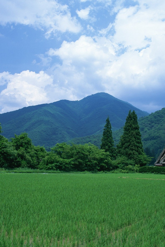 Пейзаж с домами