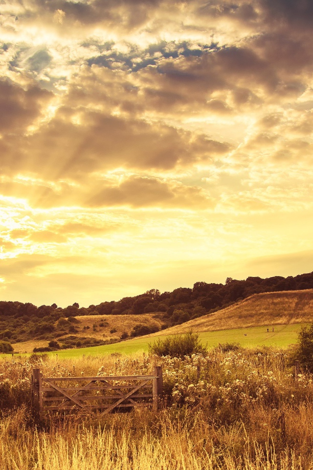 Закат на осеннем поле