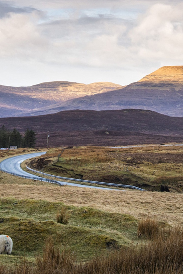 Дорога через поле в горы