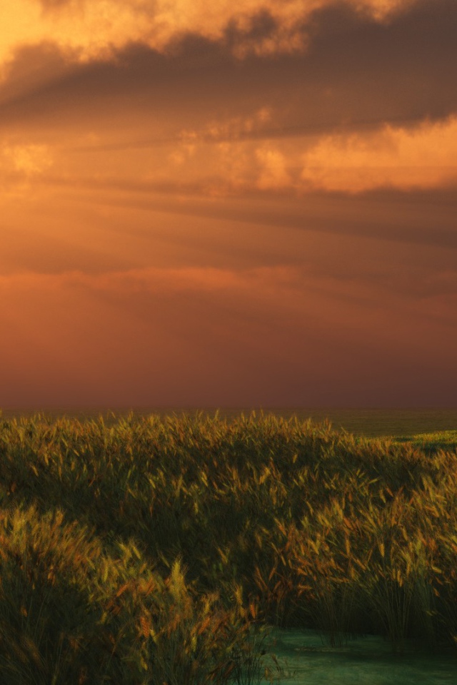 Солнечные лучи сквозь облака