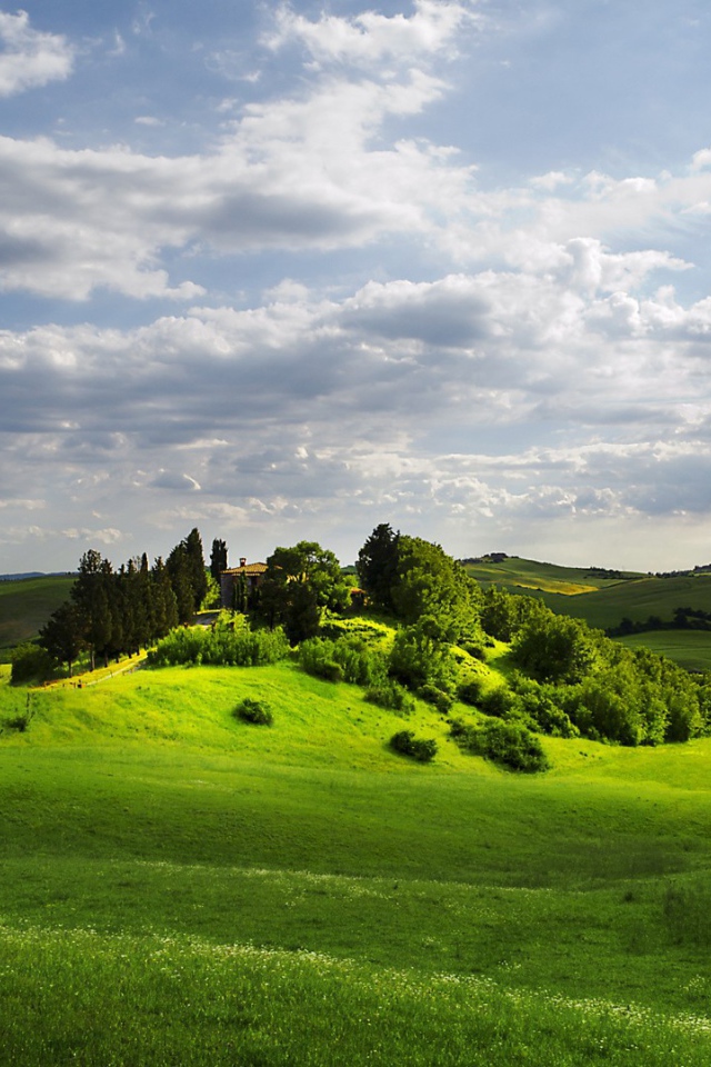 Изумрудно зеленые  холмы