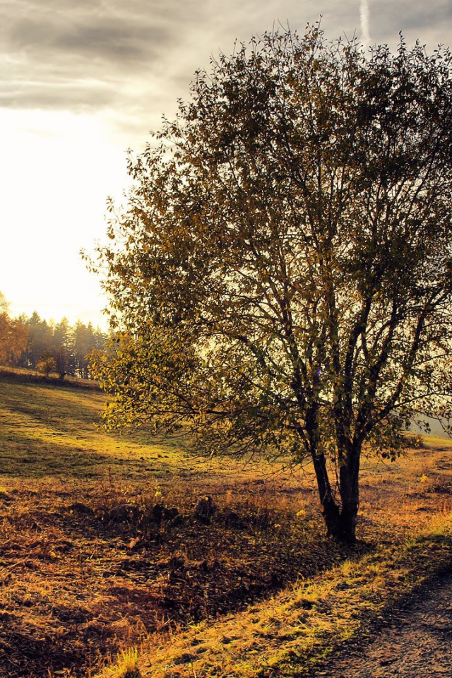Деревенский пейзаж на закате