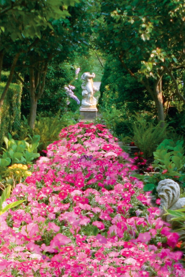 Аллея засаженная цветами