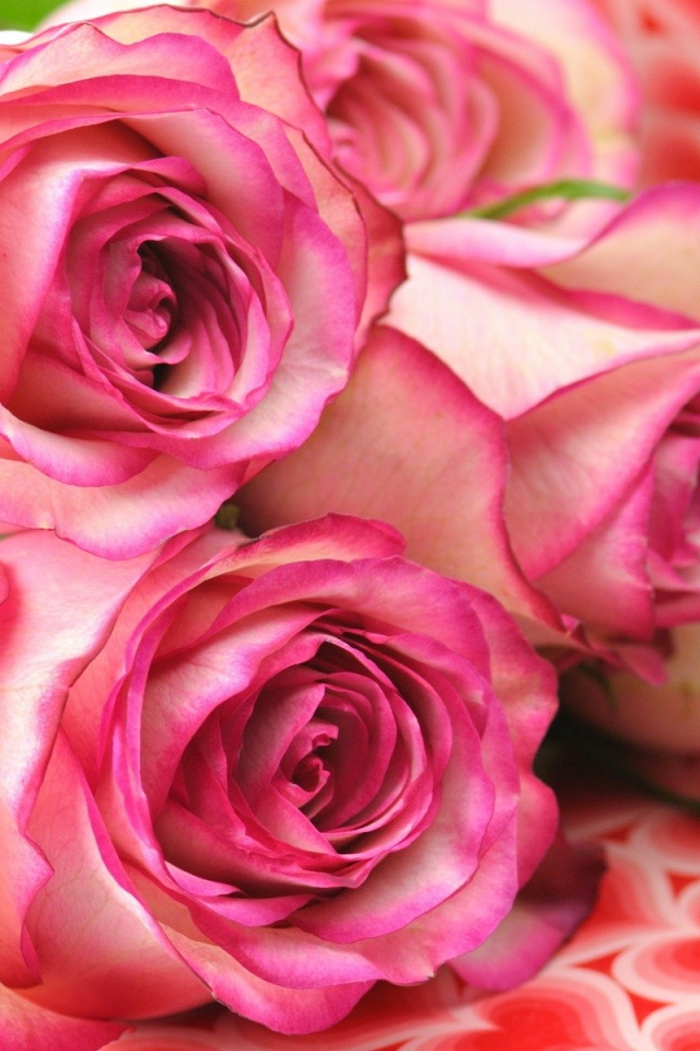 Букет роз лежит на коробке