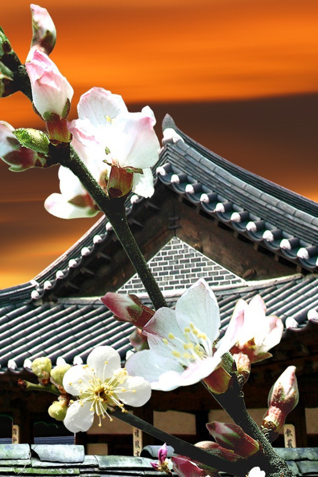 Цветы Японии