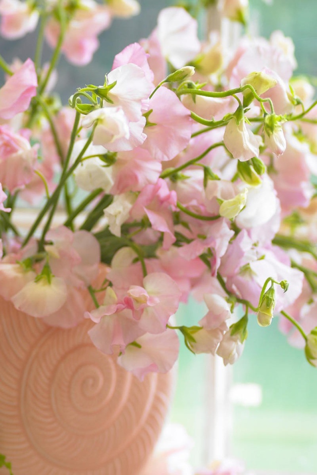 Розовые цветы в вазе