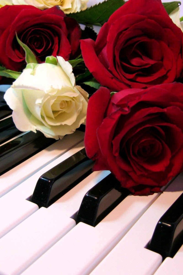 Розы на клавишах рояля