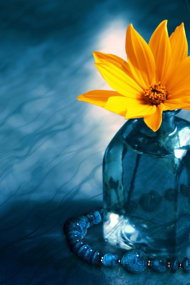 Желтый цветок в синей бутылке