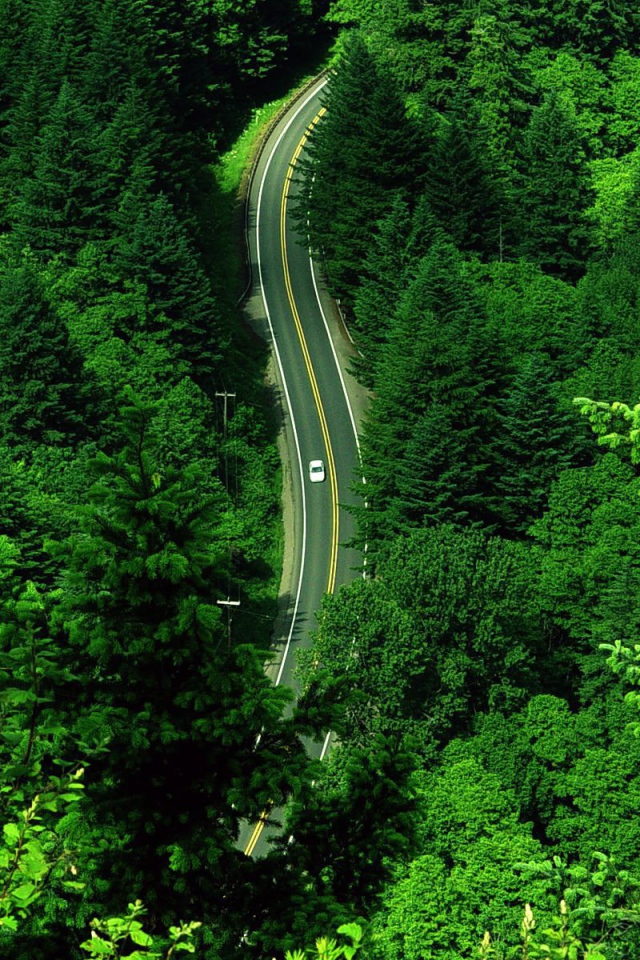 Вид дороги с высоты