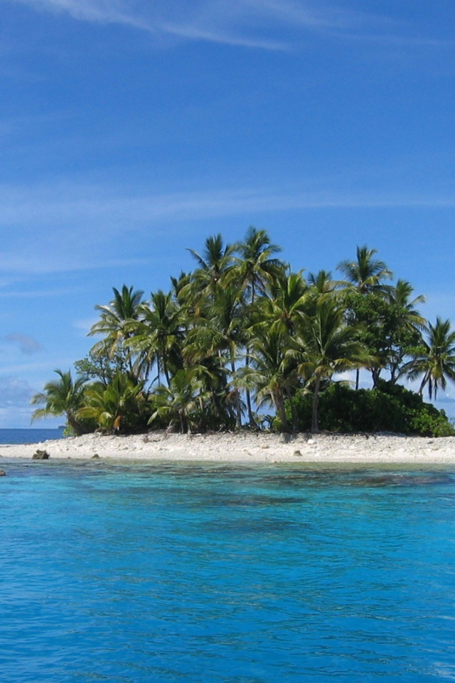 Остров с деревьями