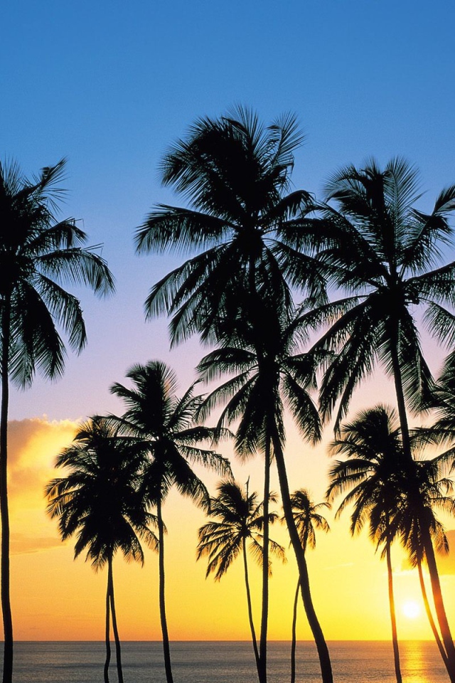 Утро на Карибских островах