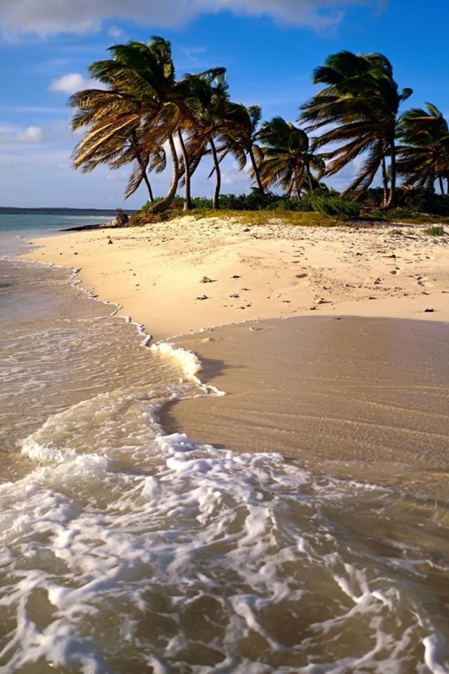 Песчаный Остров с пальмами