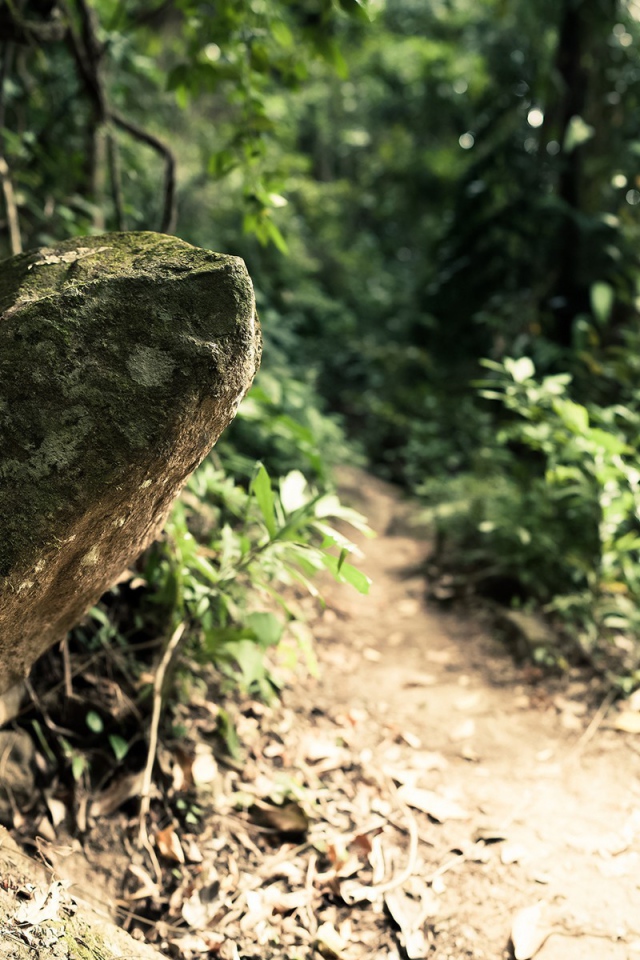 Камень у дороги