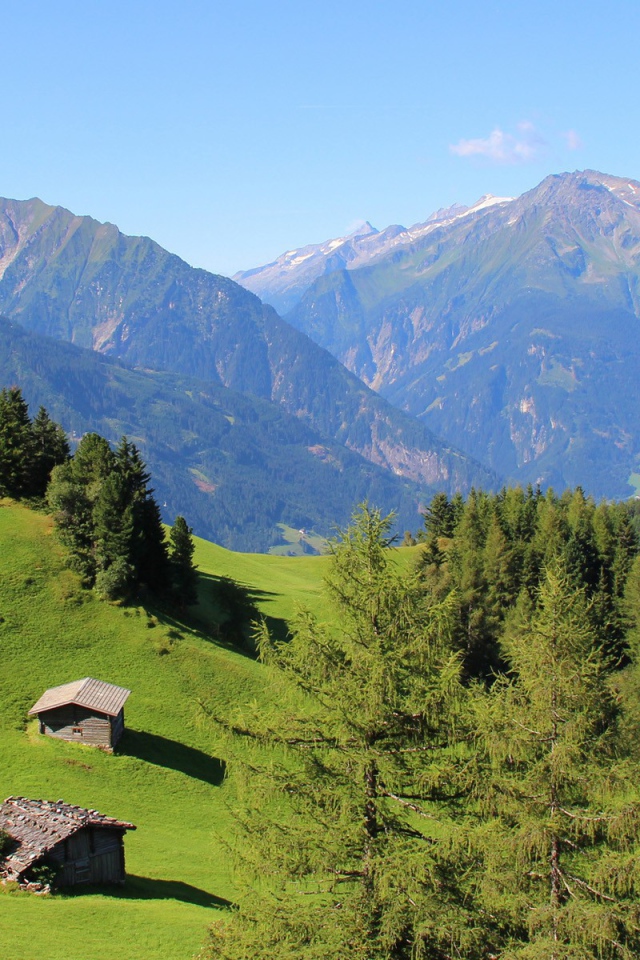 Альпийские луга и голубая даль