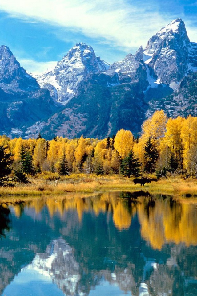 Осень в лесу у подножия гор