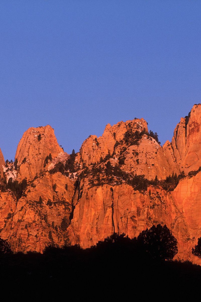 Красивый горный пейзаж с деревьями