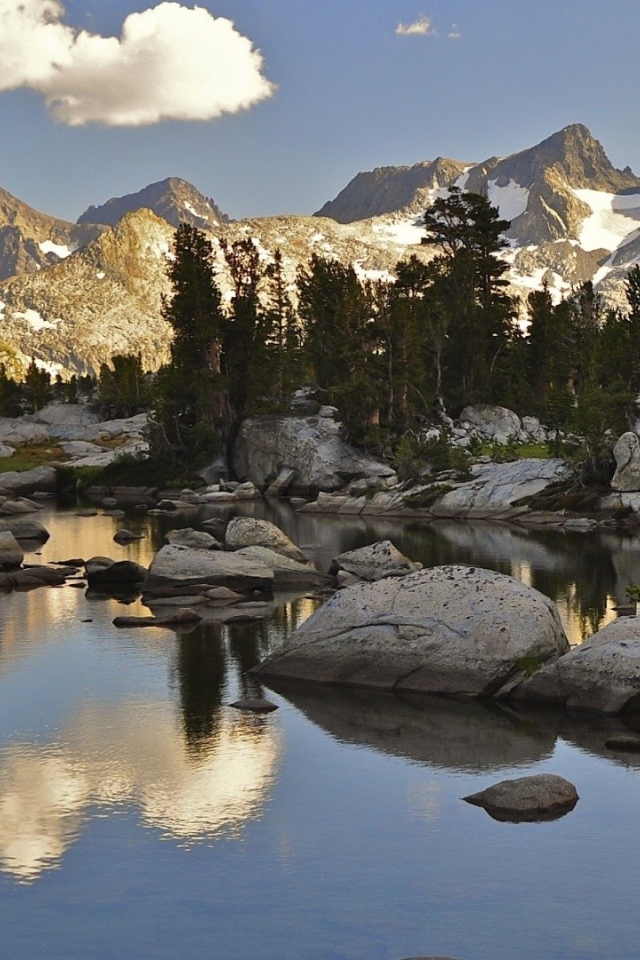 Хвойный Лес в горах