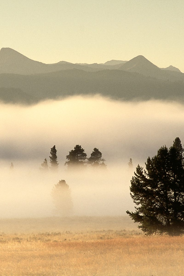 Туман на долине в горах