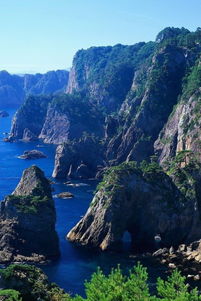 На скалах растет лес