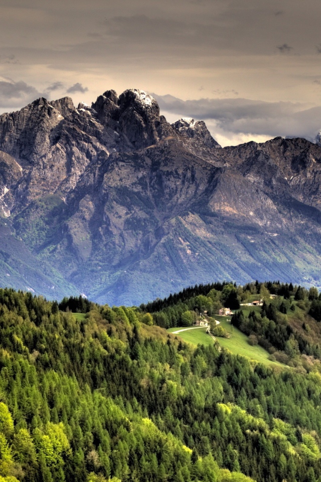 Горный пейзаж с дорогой и лесом
