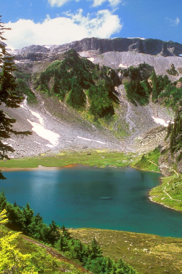 Горный пейзаж с деревом и озером