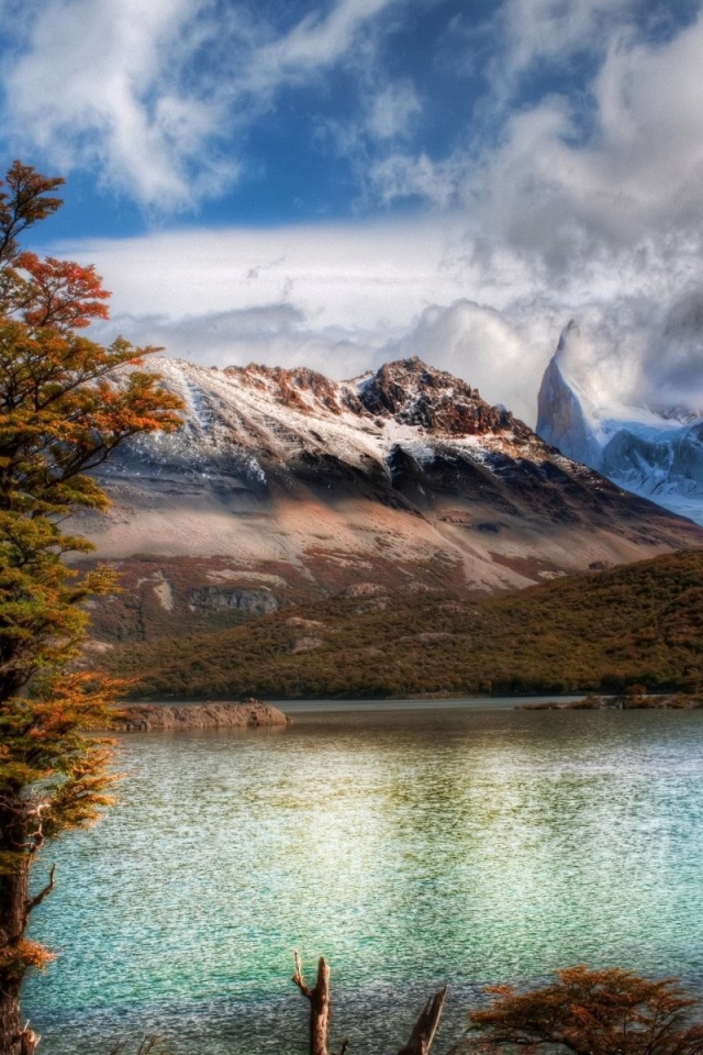 Горный пейзаж с деревом