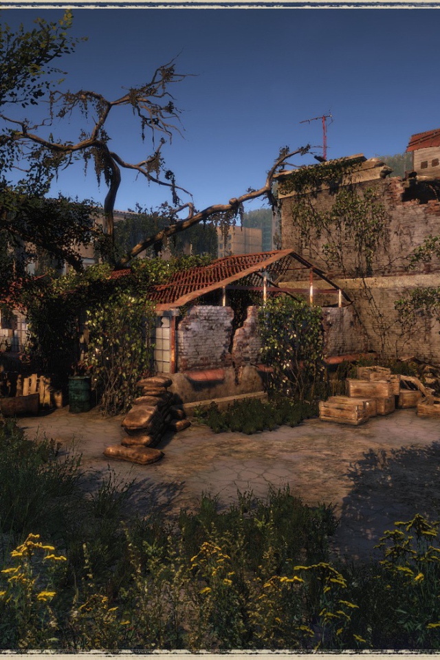 Развалины старого дома