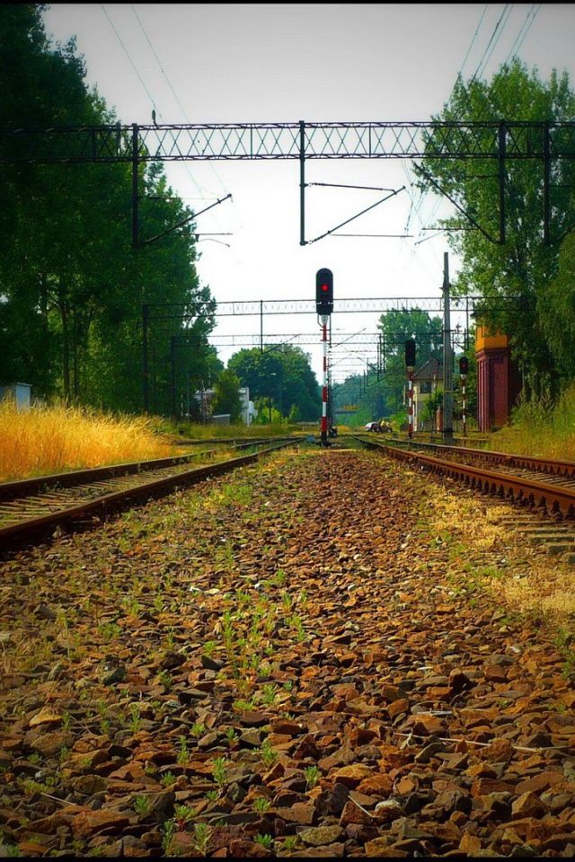 Железнодорожные пути вечером