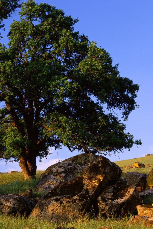 Природа штата Невада