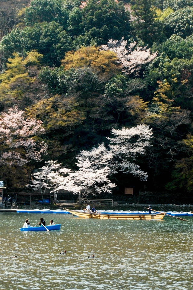 Катание на лодках