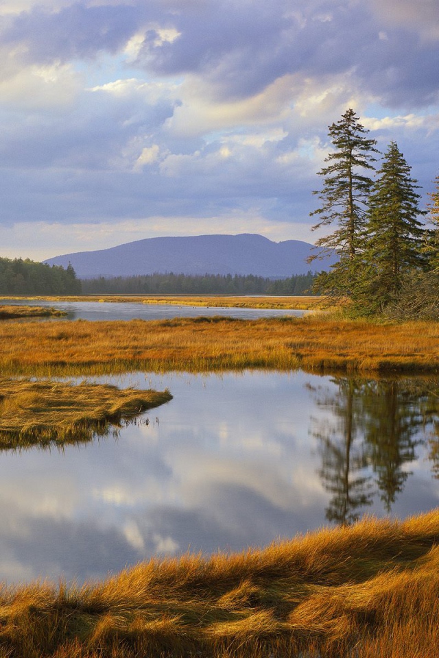 Озеро заросшее травой