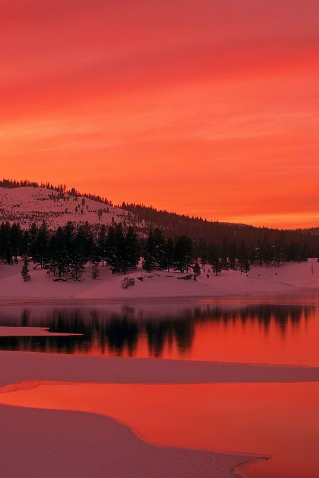 Пейзаж в багровых тонах